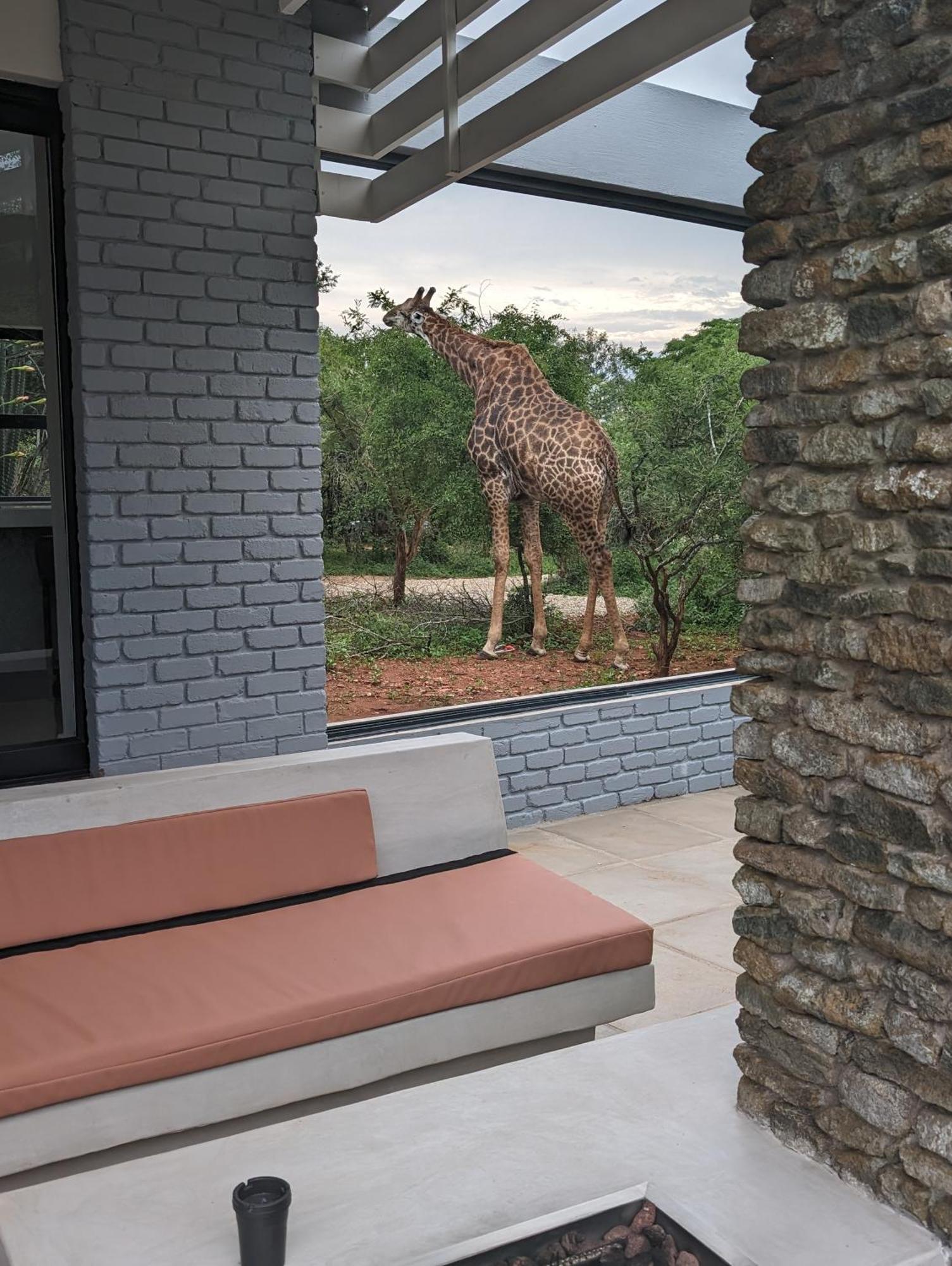 Villa Ungava Retreat Marloth Park Exterior foto